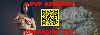 спиды Бийск
