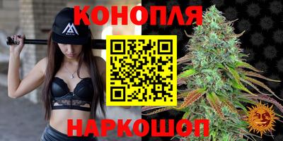 спиды Бийск