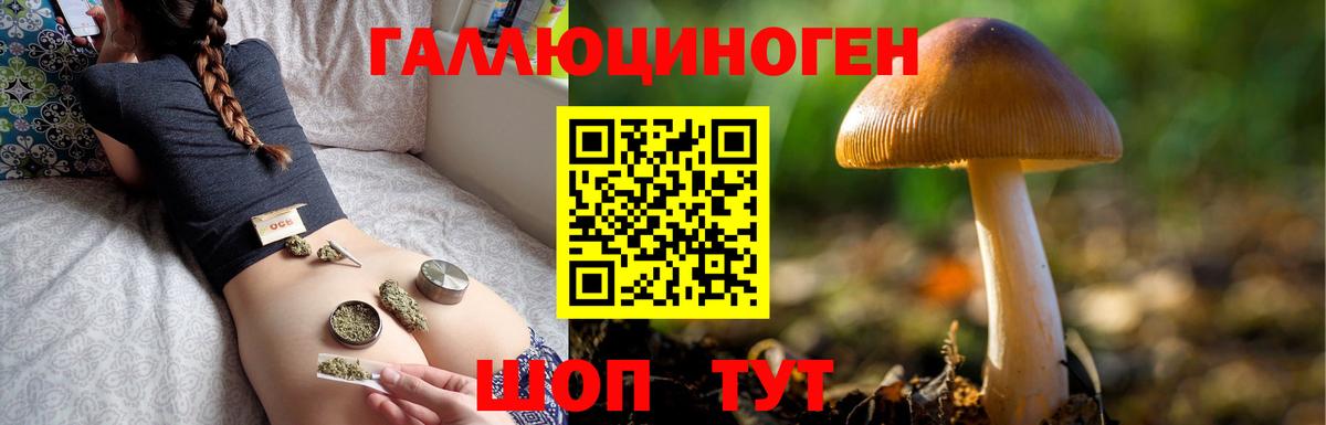 Псилоцибиновые грибы Magic Shrooms Касимов